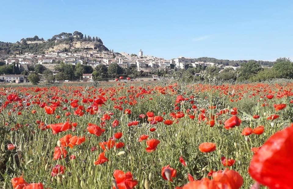 卡德内L'Amanderaie Piscine Privee A Cote De Lourmarin Luberon公寓 外观 照片