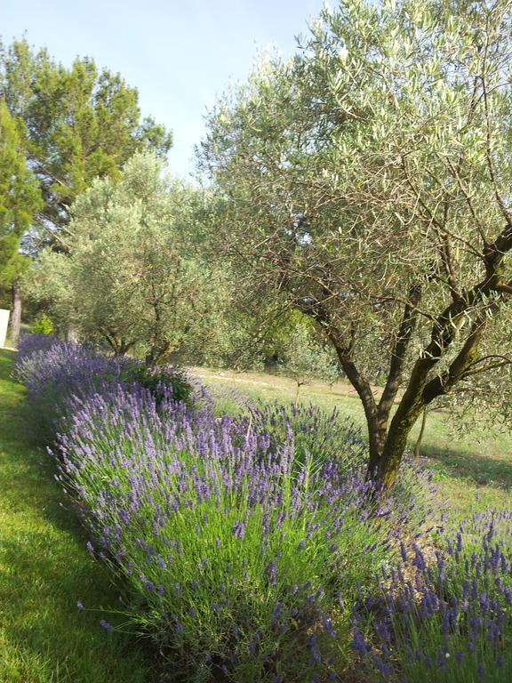 卡德内L'Amanderaie Piscine Privee A Cote De Lourmarin Luberon公寓 客房 照片
